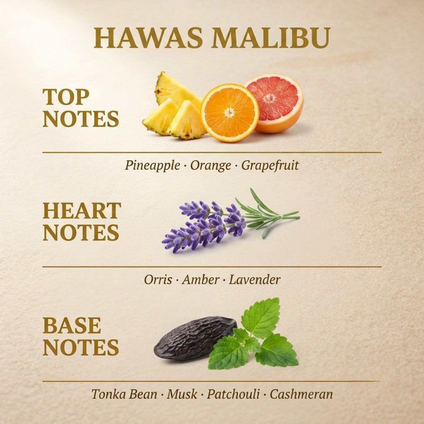 Hawas Malibu fragrance notes