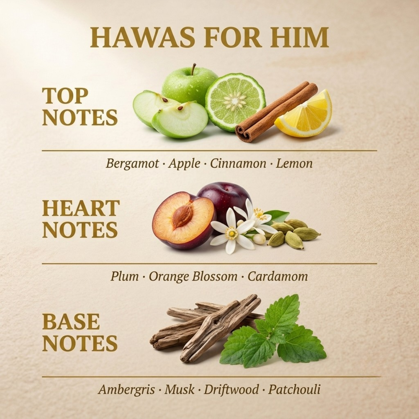 Hawas For Him fragrance notes
