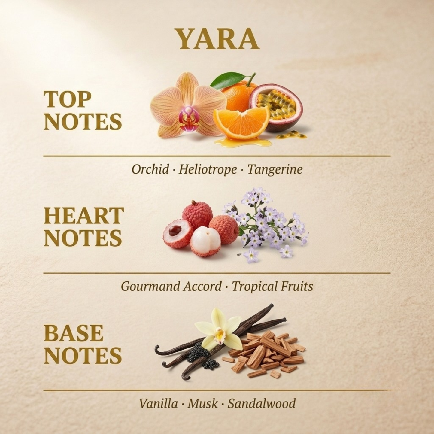 Yara by Lattafa fragrance notes