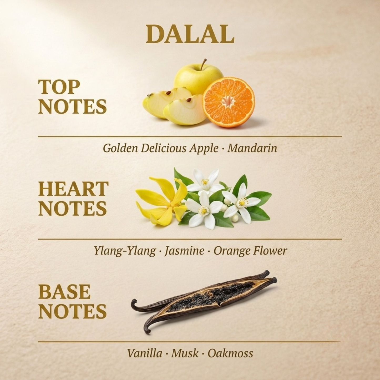 Dalal by Lattafa fragrance notes