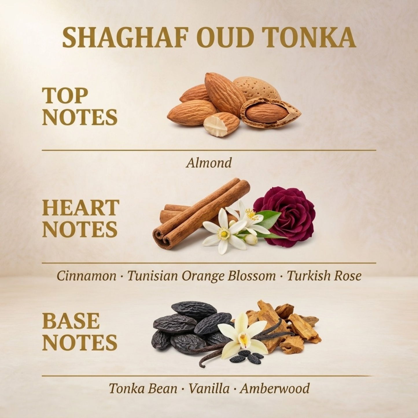 Shaghaf Oud Tonka fragrance notes