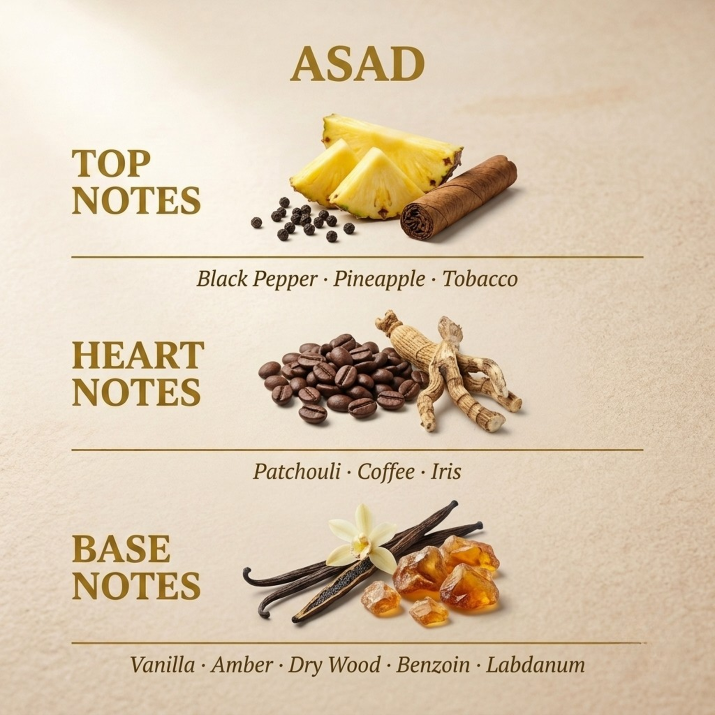 Asad by Lattafa fragrance notes