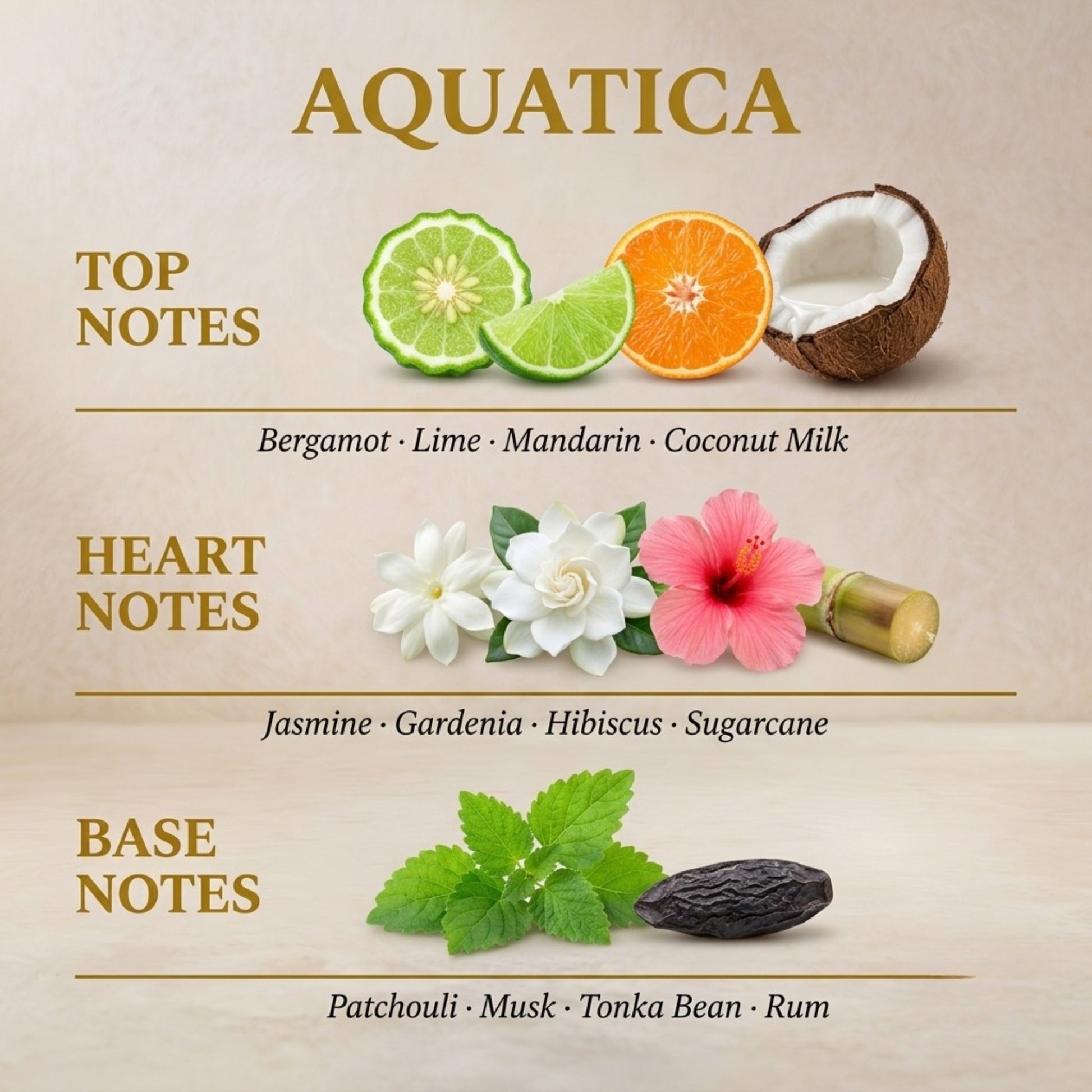 Rayhaan Aquatica