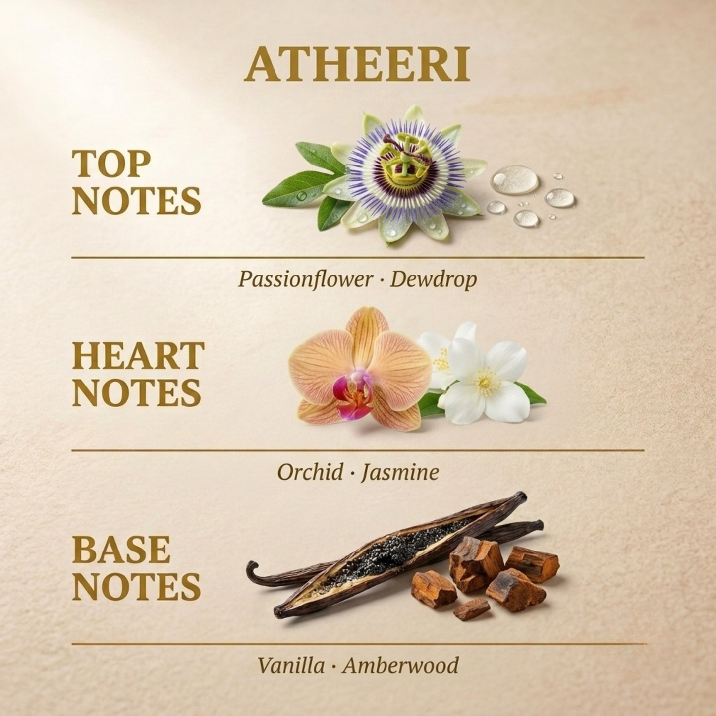 Atheeri by Lattafa fragrance notes