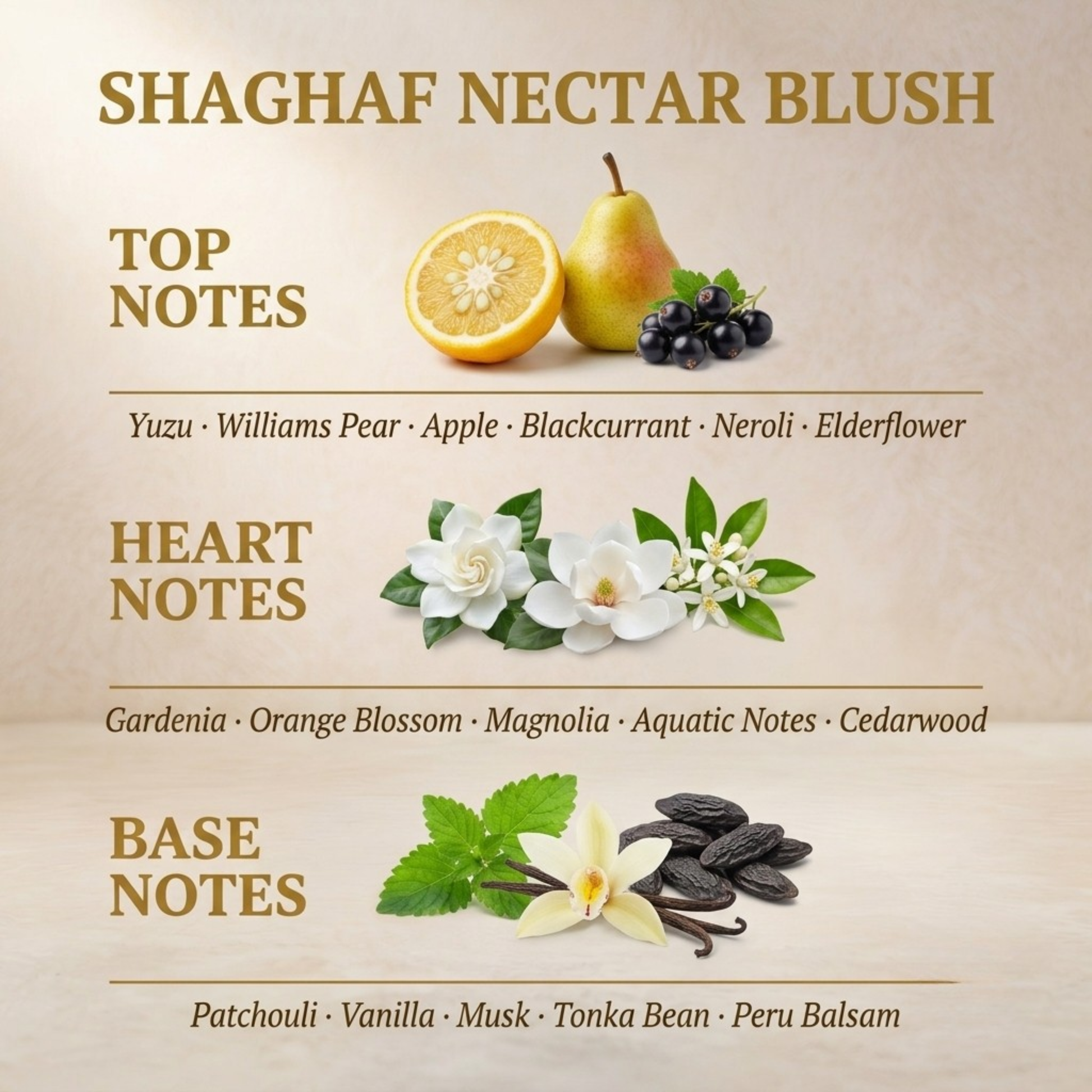Nectar Blush fragrance notes